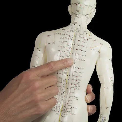 Méridiens et Shiatsu